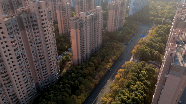 别眨眼！罗店马路秋色，一街一帧画正在限时上映