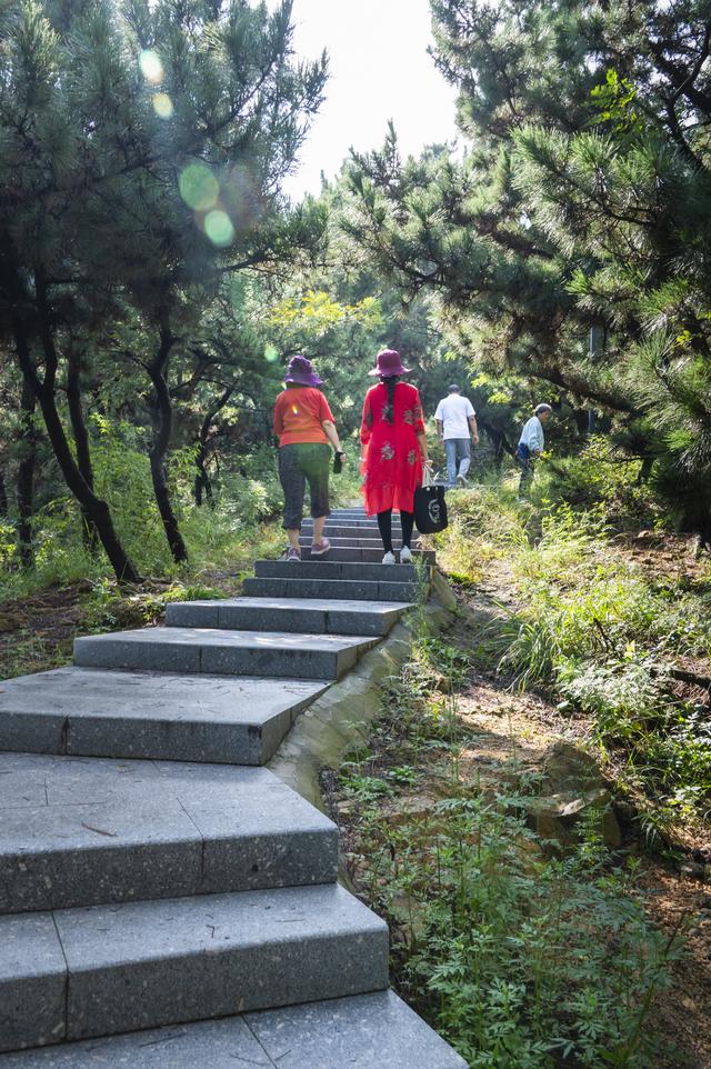 “山东邂逅美”摄影大赛｜烟台开花石：登山徒步打卡地