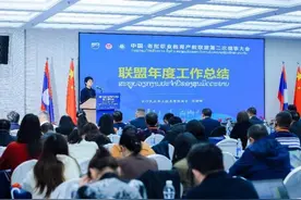 中国-老挝职业教育产教联盟第二次理事大会在长沙召开图片