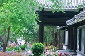 重磅！7月5日，新民大街历史文化街区“焕颜”开街！图片