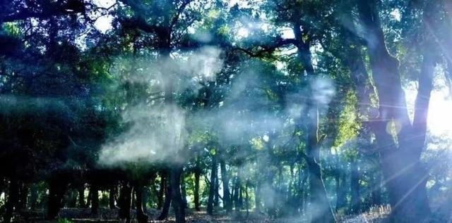 去寻甸玩一天！本地人力荐了这些宝藏打卡地→