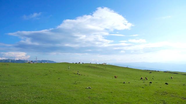 ​乌蒙大草原景区：迎来避暑旅游高峰，日均接待游客1万多人次