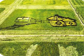 内蒙古包头市东河区：农旅融合引客来图片