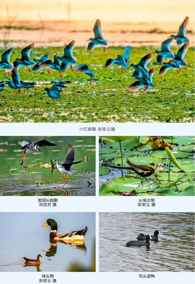 云南唯一！异龙湖环湖线入选“2025中国骑行地图”百条精品路线