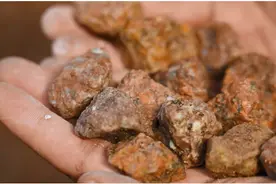 【高品质建管 高质量发展】搭台赋能 转型升级！预拌混凝土“脱胎换骨”新技术落地生花图片