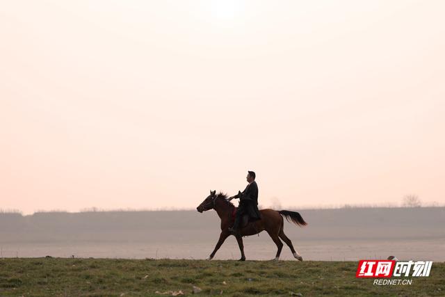 大美红图丨湘江河床变“牧场”，都市人骑马逐夕阳