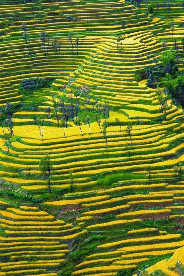 暑期旅游火热收官！红河多业态融合构建旅游新生态