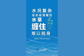 野泳潜在哪些危险？大图了解图片