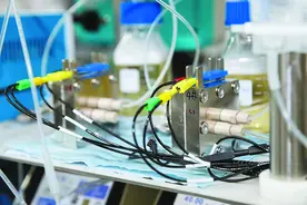科学研究的魅力：有一扇通往自由王国的门叫“偶然”图片