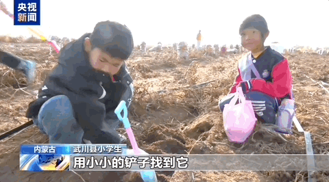 这场不等人的浪漫，有新玩法