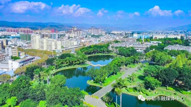 海鸥为何奔赴弥勒？原因找到了...