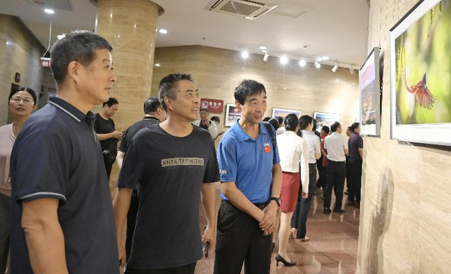 图说信阳｜光影溢彩 映照红城新貌