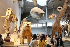 六条腿机器人引盲人入座、上台阶登场，引爆交大与科技馆“科创校长空间站”图片