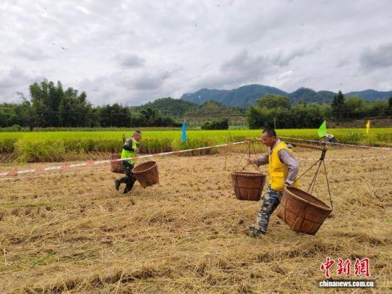 闽北“双节”“六香”之约推动文旅火爆 8天吸金34亿