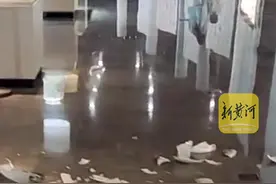 小孩打碎国艺馆近12万元瓷瓶被免赔，负责人：没碰着孩子就是万幸图片