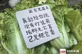 潮评丨卖菜大爷“为菜写诗”，生活的艺术家值得更多掌声图片