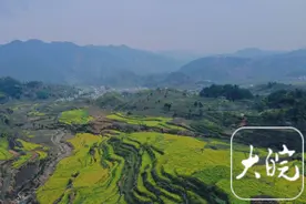 春游江淮｜来安徽绩溪赏花海、品非遗、游皖浙天路图片