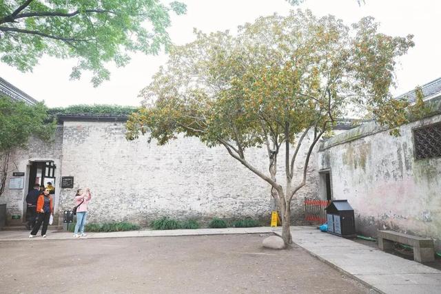 赶紧吸！绍兴，好香甜！