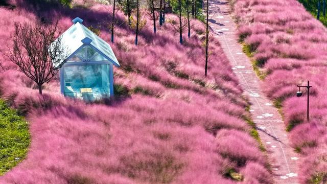 心动！宿城又涨“粉”了