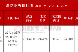 36240元/㎡ 溢价24.4% 滨江抢占城东新城“最后一块拼图”图片