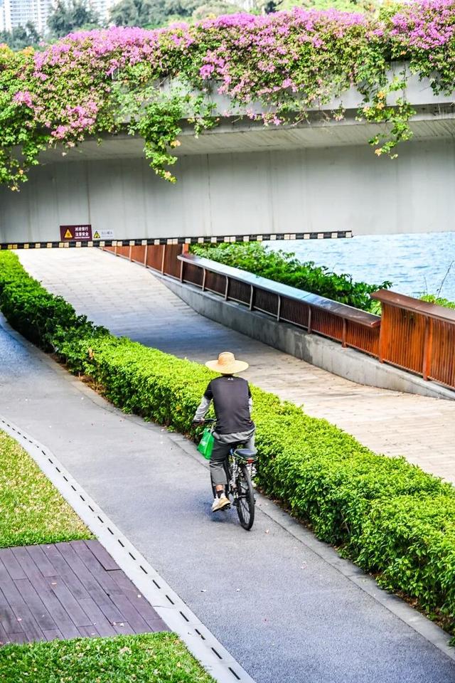 深圳知名景区紧急通知！