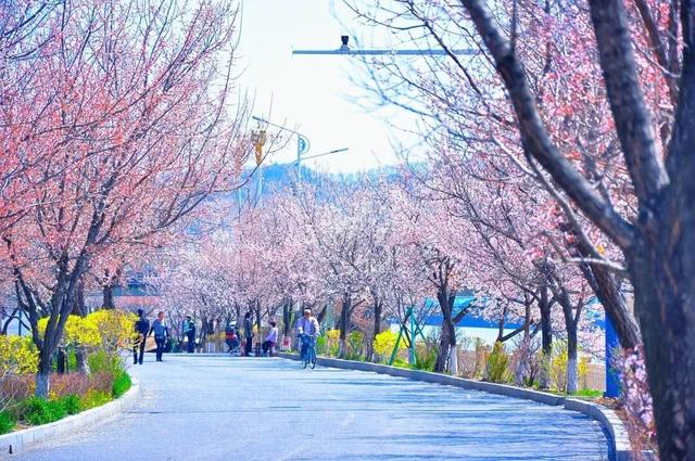 【探寻地名故事 读懂城市基因】行政区划历史文化系列之通化县篇