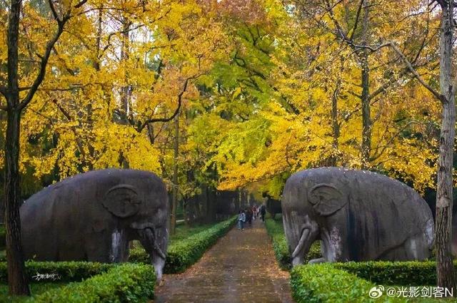 南京开始“下雪”了！