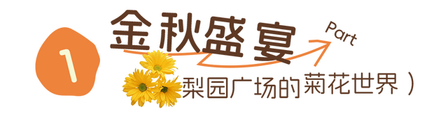 粉黛、菊展、芦苇正盛，东湖最美秋光上线！
