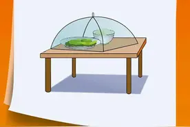 假期安全饮食，注意事项看这里→图片