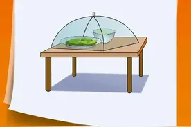 假期安全饮食，注意事项看这里→图片