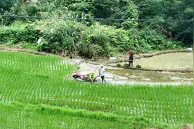 记者直击｜风雨过后是阳光！闽北各地灾后恢复生活生产……图片