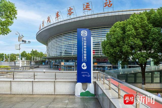 出南京站别急着走！这条5分钟直达红山森林动物园的通道拍照超出片