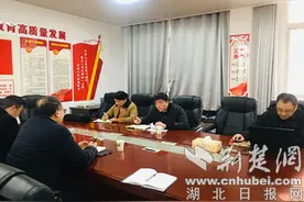 樊城审计深入教育系统开展审计项目立项调研图片