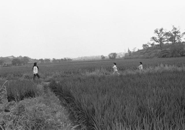 我在现场·光影流年丨当这份爱默默流淌了37年，如今的他们，还好吗？