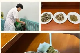 宁阳乡饮乡卫生院创新推出中药香囊，守护健康有新招！图片