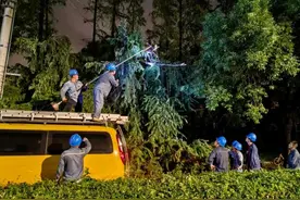 最强台风过境，这群青年连夜扶树、种树、清理道路图片