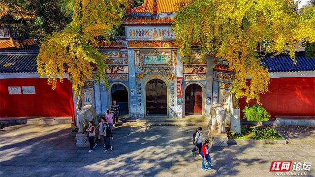 岁暖时刻丨这个季节的岳麓山，连风都是温柔的