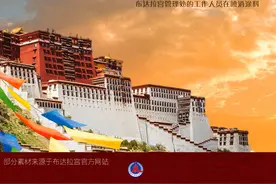 （图表·海报）美丽中国丨世界文化遗产——布达拉宫（1）图片