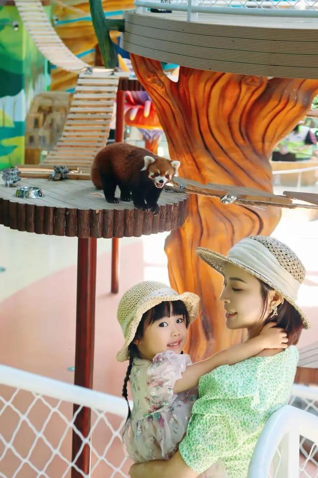 秋假去哪玩？是时候来莲都“躺平”了！