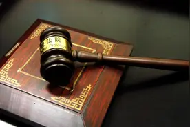 两民警十多年前在玩具店买气枪，被判缓刑丢公职申诉多年图片