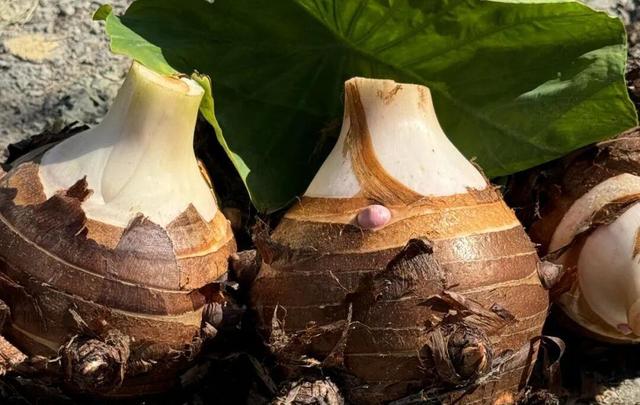 跟着浙BA游宁波，打卡这些“隐藏款”，出片率100%