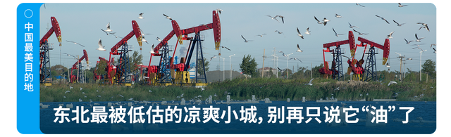 最松弛的泰国小城，成了多少打工人的少年宫