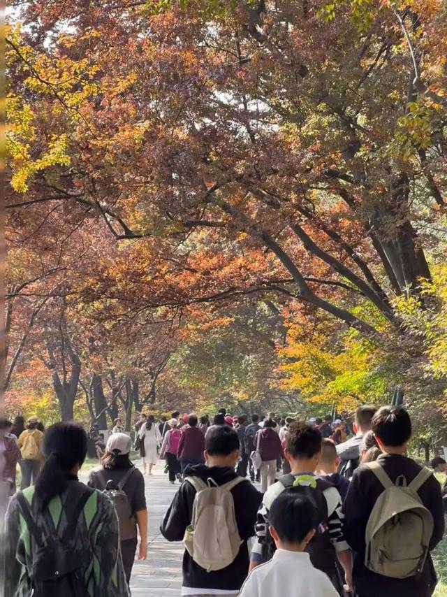 啥情况？“今天的南京，感觉有一亿人”