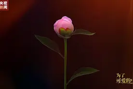 平凡铸就伟大，英雄来自人民！山东4人分别获得国家勋章和国家荣誉称号图片