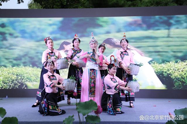 紫竹院公园竹荷文化季开幕式暨“竹间”武侠音乐会