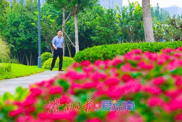 一年四季 泉在济南丨经十路奥体中路街角花园雨后焕新颜