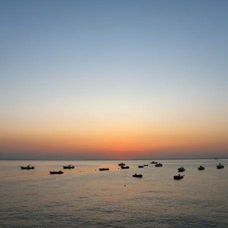 花胶和雪燕能一起炖吗 花胶和雪燕能一起炖吗怎么做