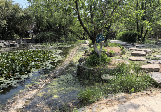 焕新归来！沂水东皋公园：四季有景夜有光 古塔生辉美出圈