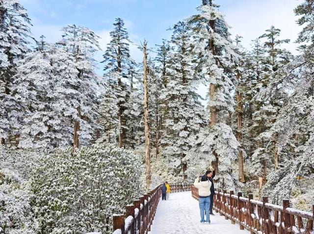 秋假封神目的地！瓦屋山飘雪啦！美到不想回家~