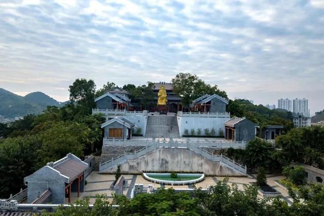 南宁就是冬日旅游天花板！摘果+跑马+演唱会+美景打卡，带你玩转“水果自由”之旅